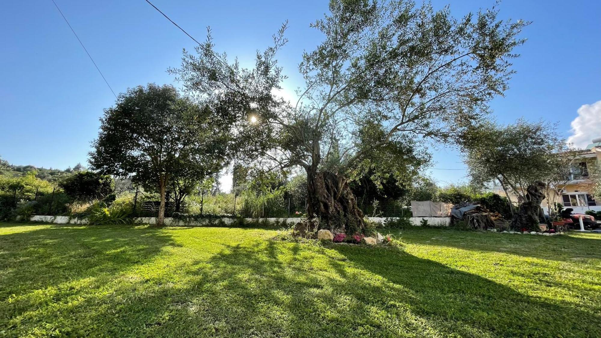 Kavos Aparthotel Dış mekan fotoğraf