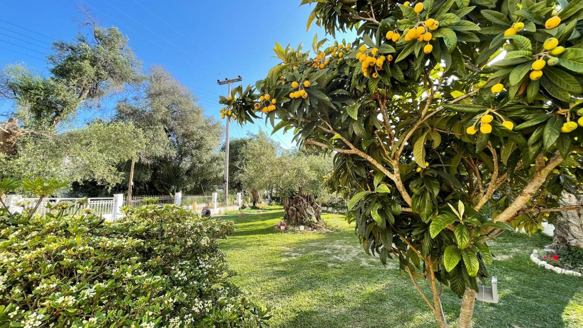 Kavos Aparthotel Dış mekan fotoğraf